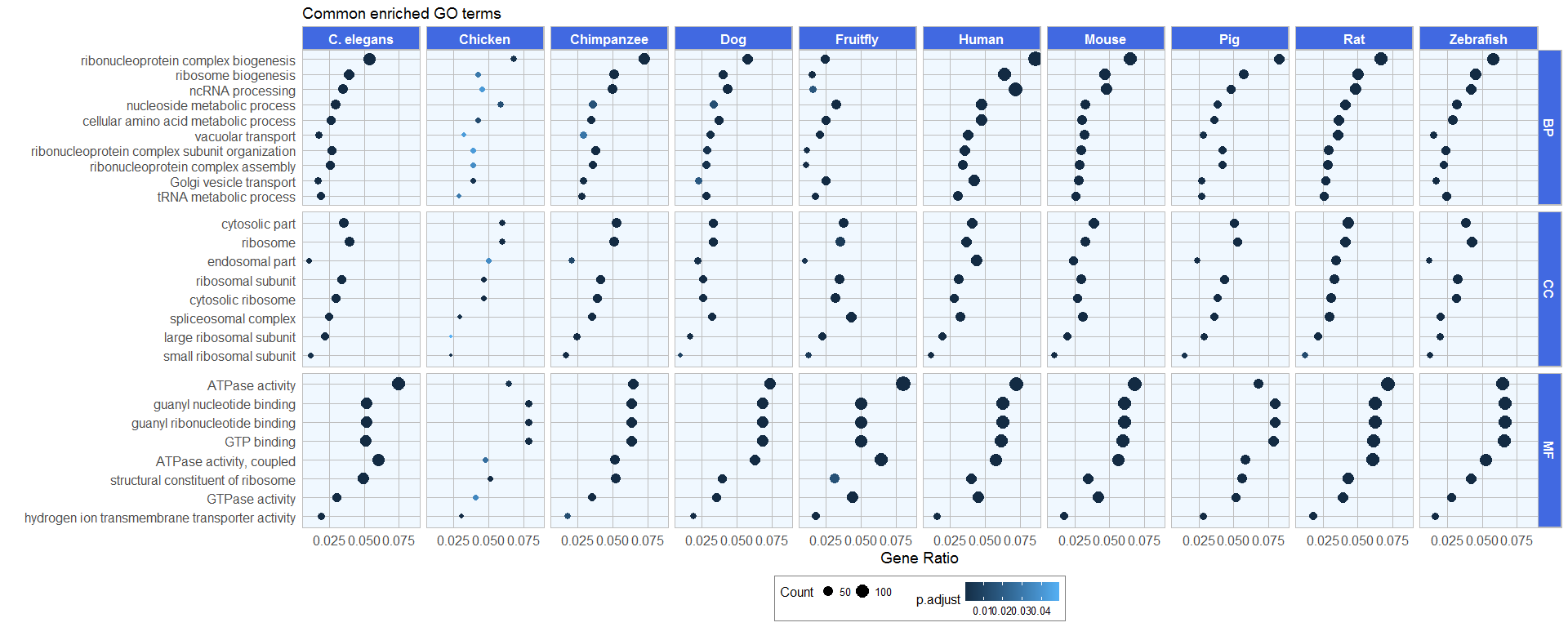 Gene homology Part 3 – Visualizing Gene Ontology of Conserved Genes